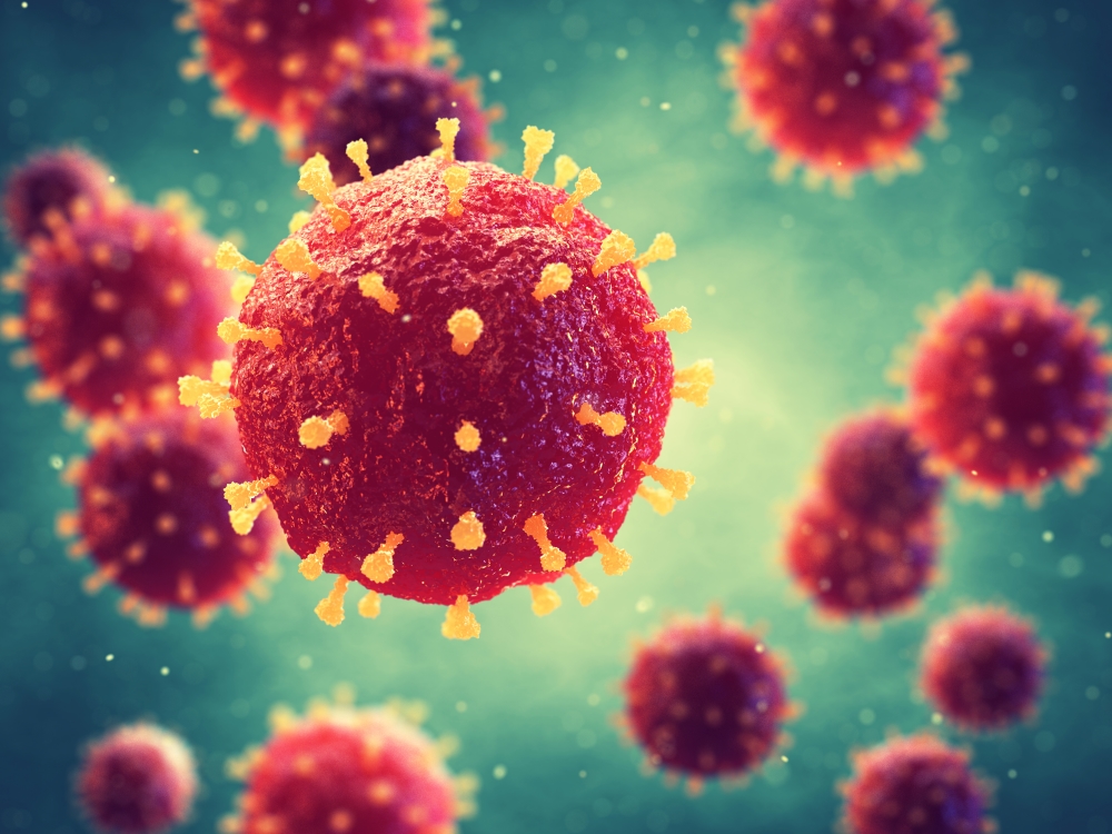 corona virus